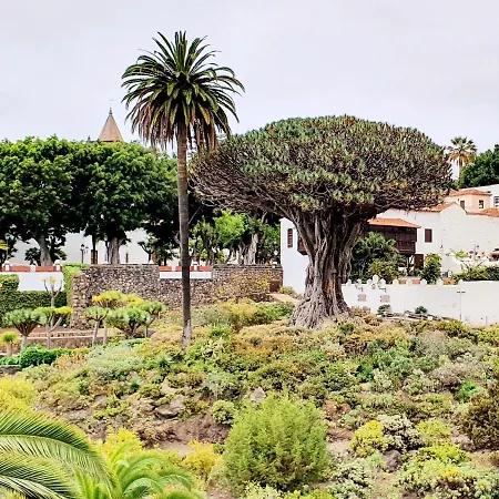 公寓 Brisas Del Roque Coastline In 加拉奇科