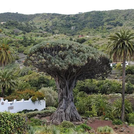 公寓 Brisas Del Roque Coastline In